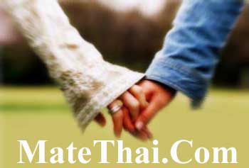 ��� | �Ҥ�� | ���ѡ�Ѻ˹��������͹�Ź�