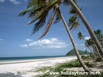 ����������ҹ